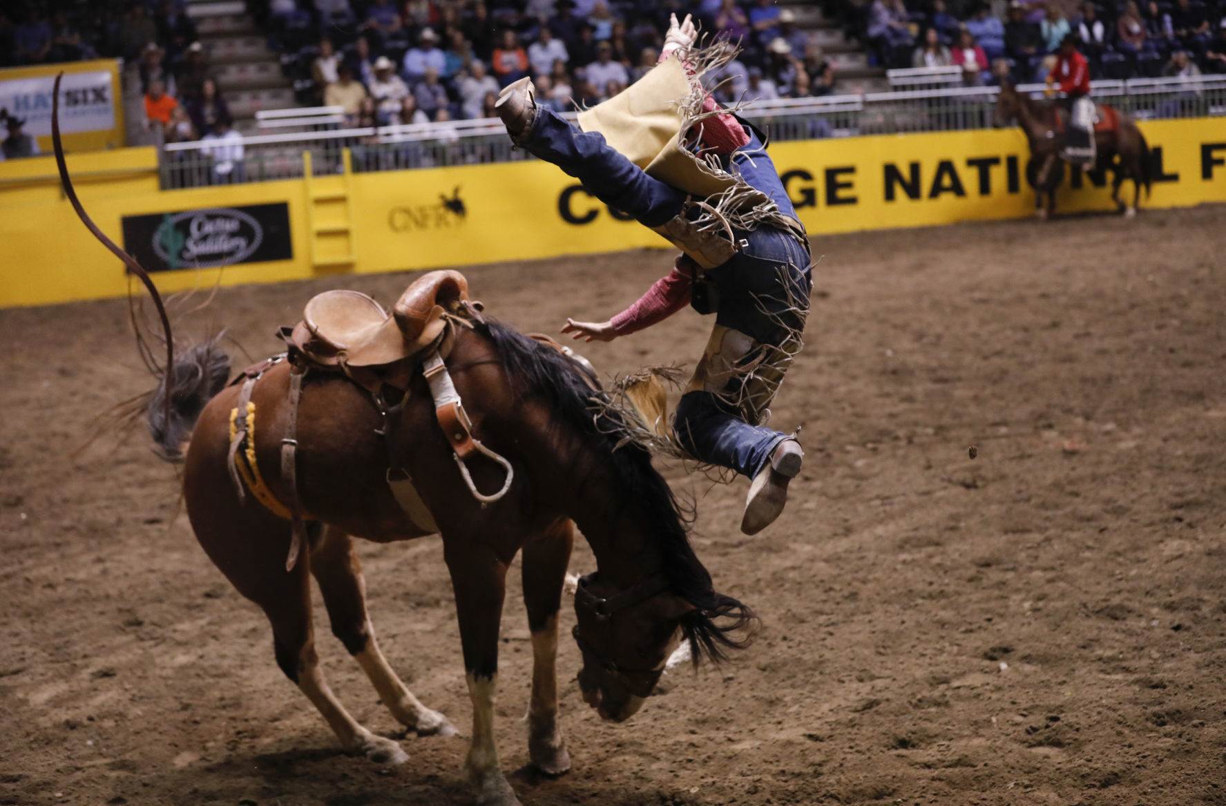 CNFR - Tuesday